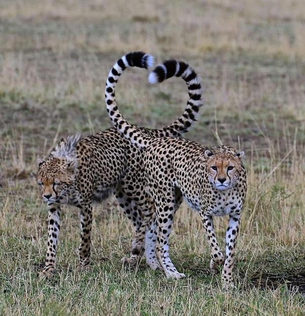 Weltevreden Game Lodge Μπλουμφοντέιν Εξωτερικό φωτογραφία